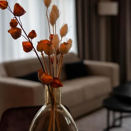 Novea Alpesi faház *